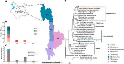 Meta-transcriptomics for the diversity of tick-borne virus in Nujiang, Yunnan Province